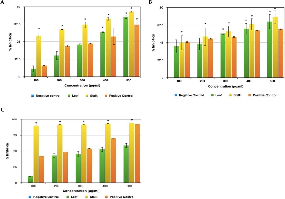 Anti-inflammatory, anti-oxidative, and anti-microbial activities of the phytochemicals isolated from various parts of broccoli wastes