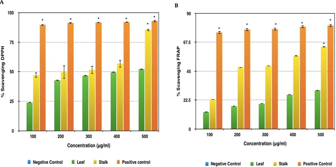 Anti-inflammatory, anti-oxidative, and anti-microbial activities of the phytochemicals isolated from various parts of broccoli wastes