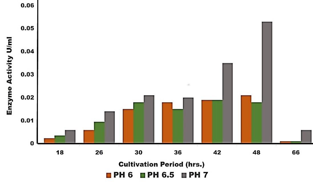 Isolation, documentation, and biochemical characterization of cellulolytic bacteria from rumen fluid of cattle