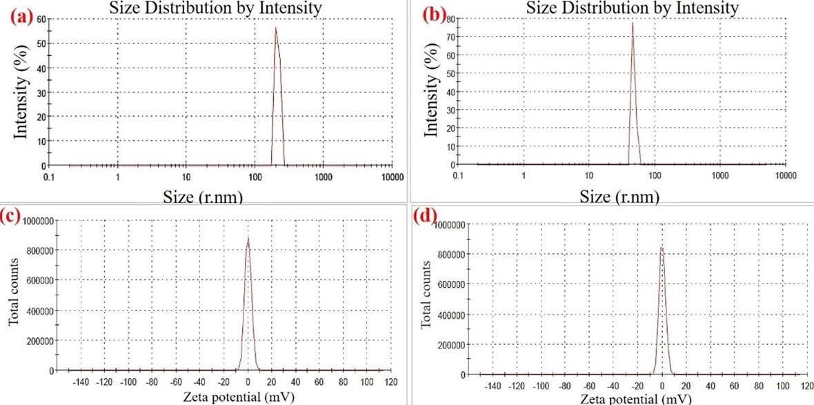 Extraction of Squilla (Harpiosquilla annandalei) shell derived chitosan and its nanocarrier efficiency for sustained protein delivery