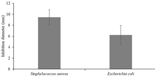 Molecular characterization and antibacterial activities of mangrove endophytic fungi from coastal Kenya