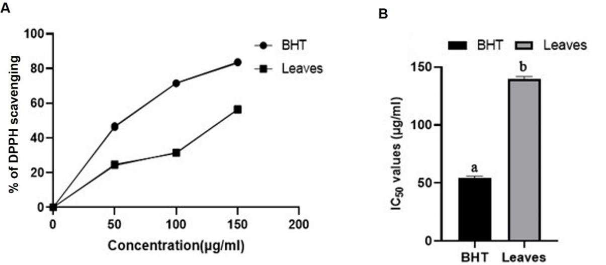 Biochemical and in silico study of leaf extract from Rumex dentatus against Staphylococcus aureus