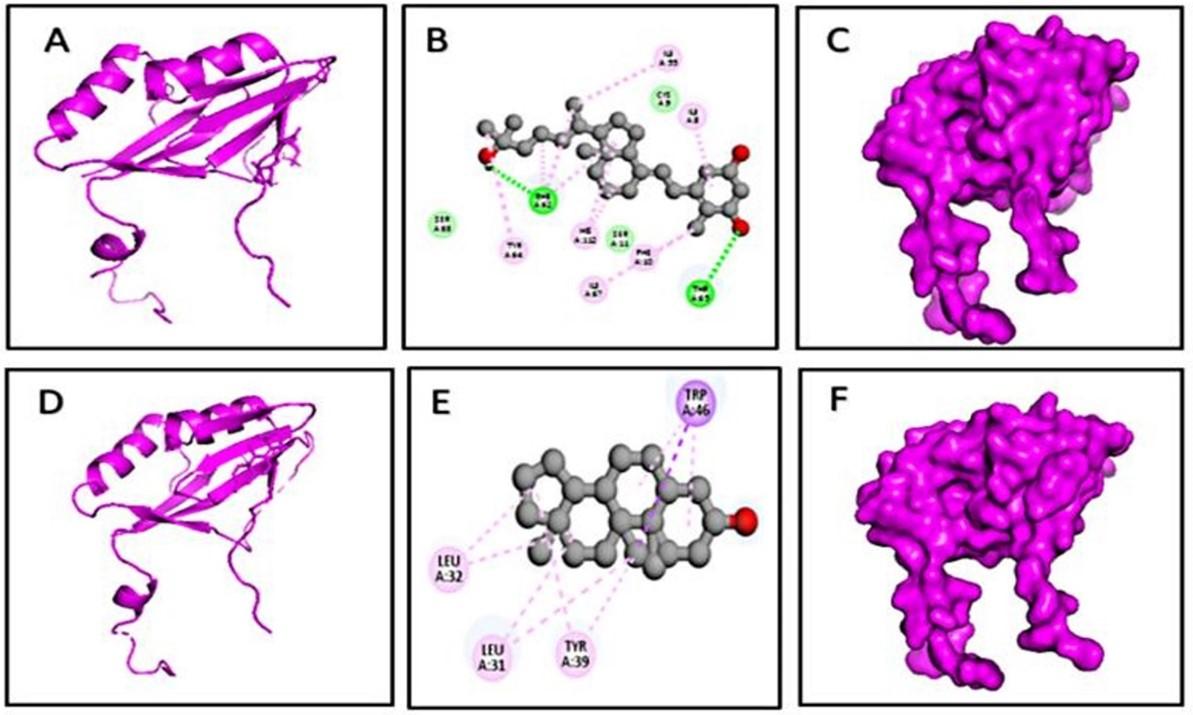 Biochemical and in silico study of leaf extract from Rumex dentatus against Staphylococcus aureus