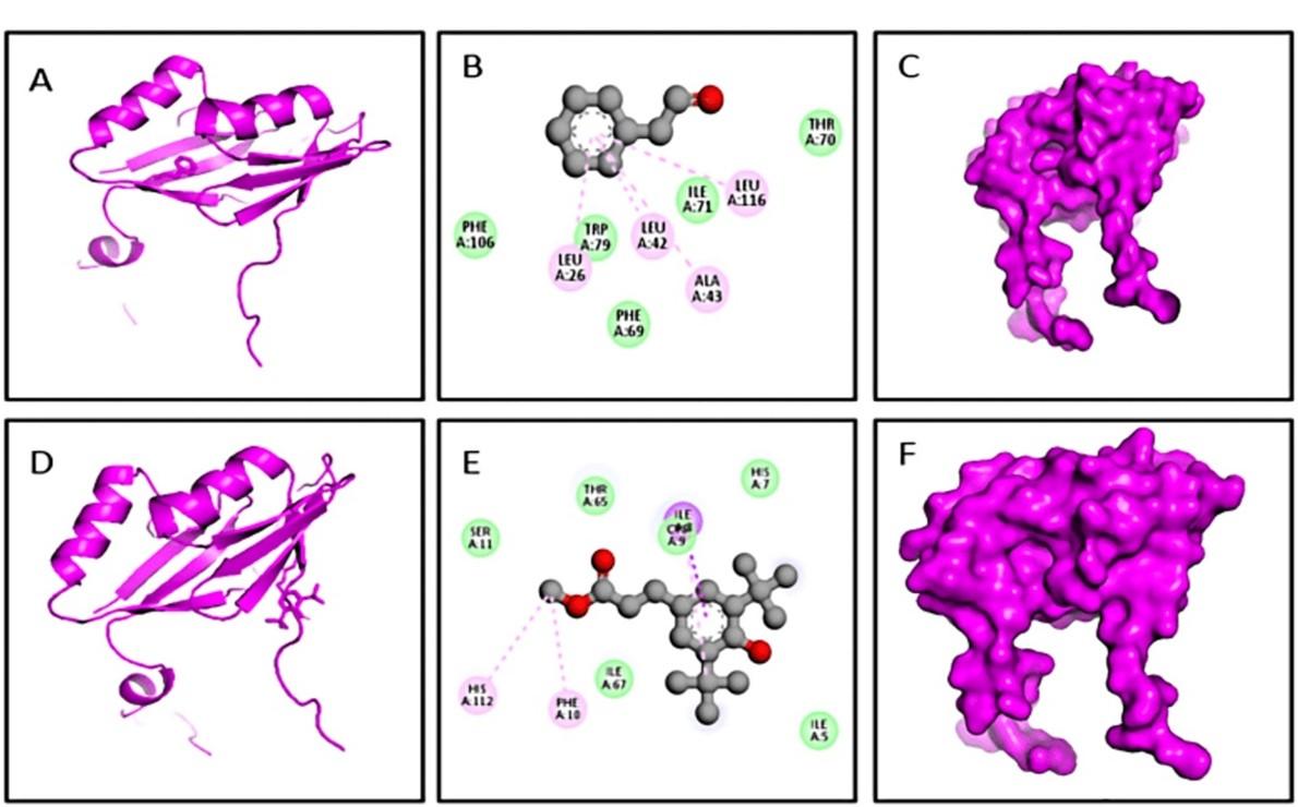 Biochemical and in silico study of leaf extract from Rumex dentatus against Staphylococcus aureus