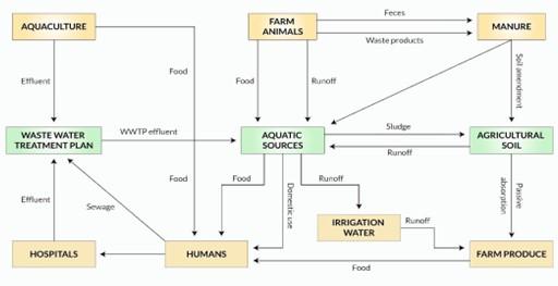 Antimicrobial resistance: Understanding the mechanism and strategies for prevention and control