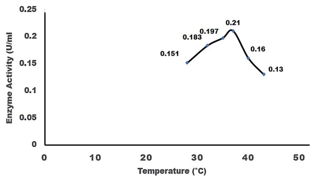 Isolation, documentation, and biochemical characterization of cellulolytic bacteria from rumen fluid of cattle