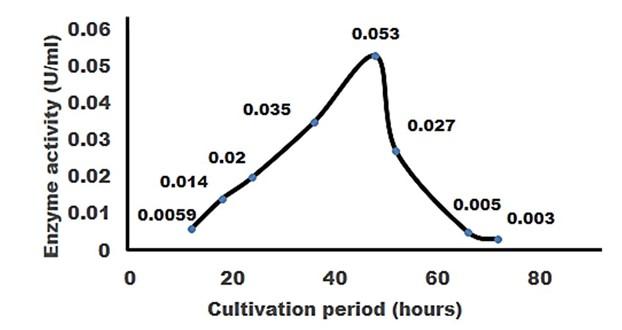 Isolation, documentation, and biochemical characterization of cellulolytic bacteria from rumen fluid of cattle