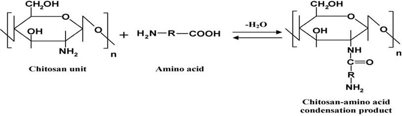 Protective effect of L-carnitine nanoparticles Vs carnitine on lead acetate-induced toxicity in male rats