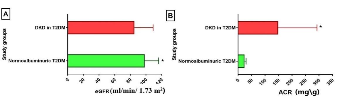 Kidney injury molecule-1 and cystatin C as early biomarkers for renal dysfunction in Iraqi type 2 diabetes mellitus patients