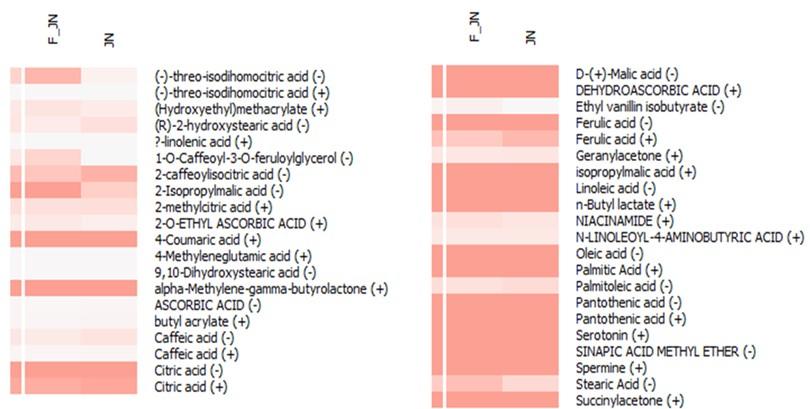 Unveiling the immunomodulatory mechanisms of pineapple metabolites: A multi-modal computational analysis using network pharmacology, molecular docking, and molecular dynamics simulation