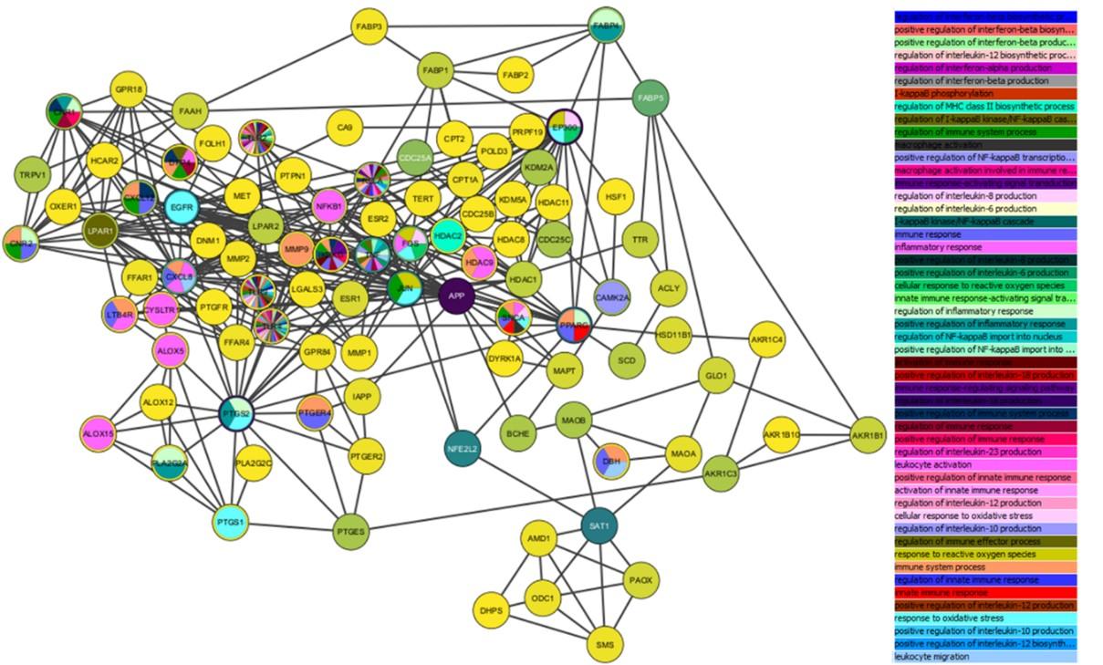 Unveiling the immunomodulatory mechanisms of pineapple metabolites: A multi-modal computational analysis using network pharmacology, molecular docking, and molecular dynamics simulation