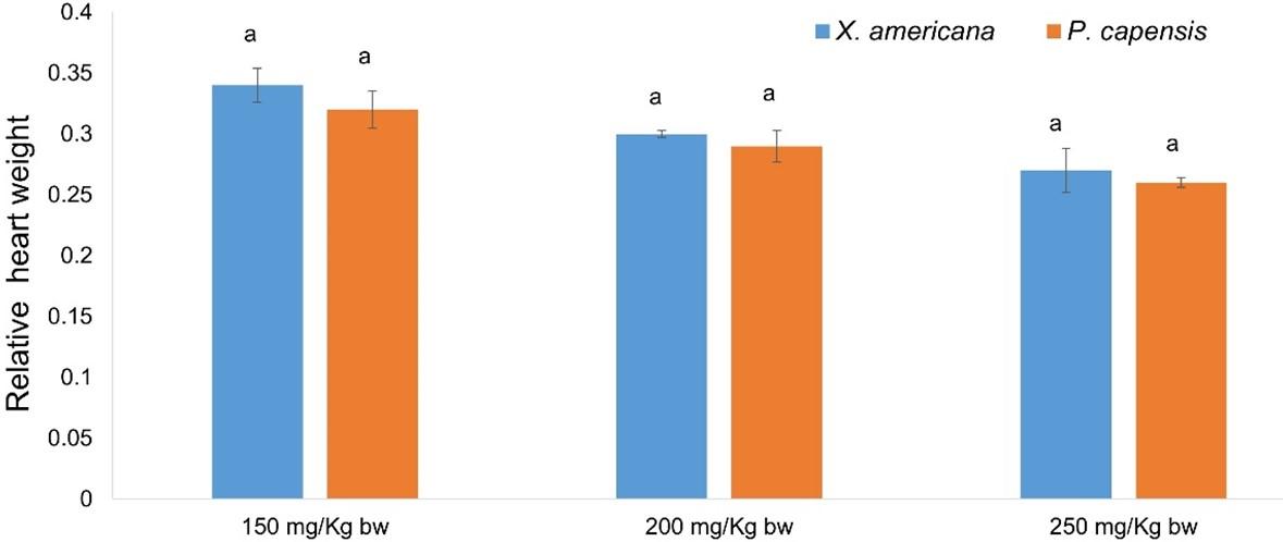 Cardiocurative effects of aqueous leaf extracts of Ximenia americana (linn.) and Pappea capensis (eckl. and zeyh.) against myocardial infarction in rats