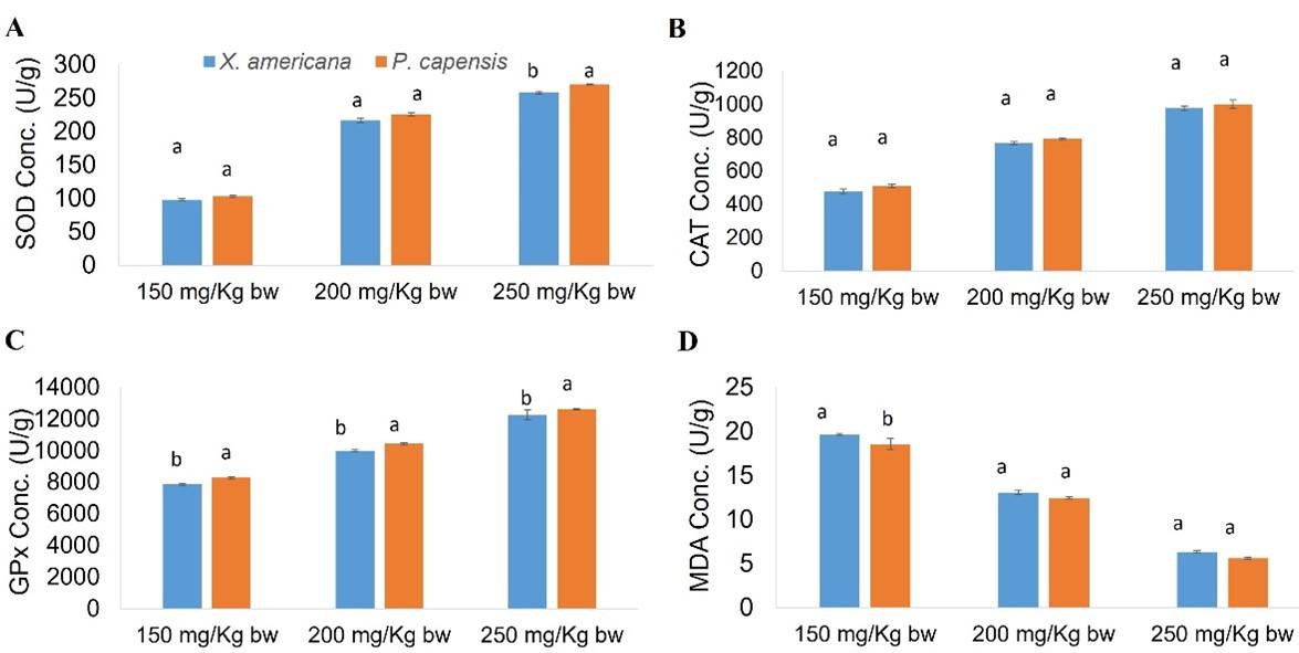 Cardiocurative effects of aqueous leaf extracts of Ximenia americana (linn.) and Pappea capensis (eckl. and zeyh.) against myocardial infarction in rats