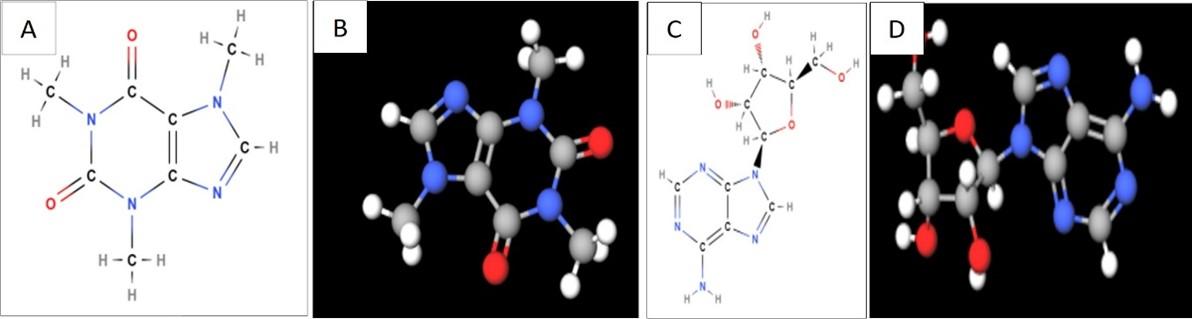 Effect of caffeine-loaded silver nanoparticles on minerals concentration and antibacterial activity in rats