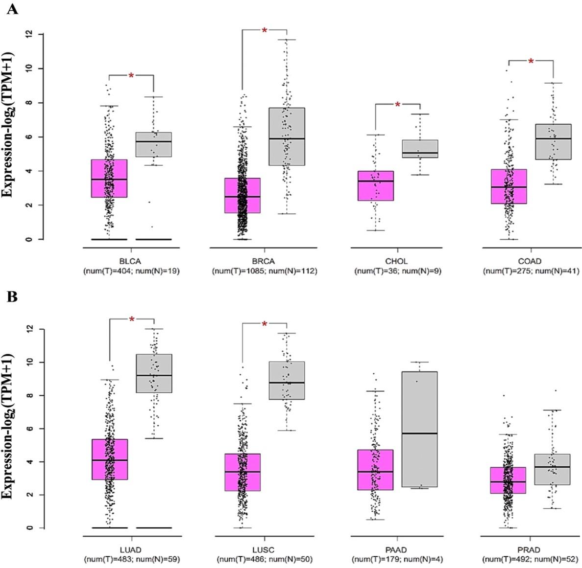 Serological and oncoinformatic analysis of HbA1c as a prognostic biomarker in screening the risks of different cancers among the male T2D patients of Bangladesh