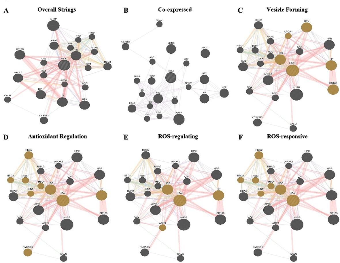 Serological and oncoinformatic analysis of HbA1c as a prognostic biomarker in screening the risks of different cancers among the male T2D patients of Bangladesh