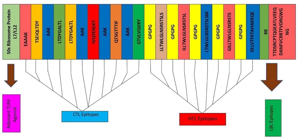 Developing a multiepitope vaccine against dengue virus in Bangladesh using immunoinformatics approach