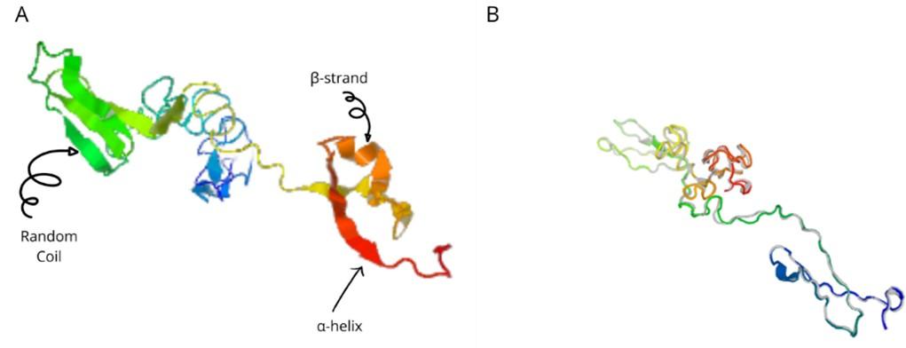 Developing a multiepitope vaccine against dengue virus in Bangladesh using immunoinformatics approach