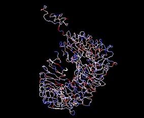 Developing a multiepitope vaccine against dengue virus in Bangladesh using immunoinformatics approach