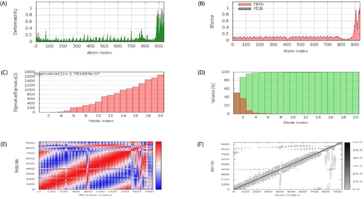 Developing a multiepitope vaccine against dengue virus in Bangladesh using immunoinformatics approach