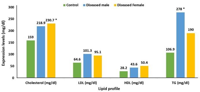 Assessment and comparison of cardiovascular disease risk factors and biochemical parameters among men and women: A cross-sectional study