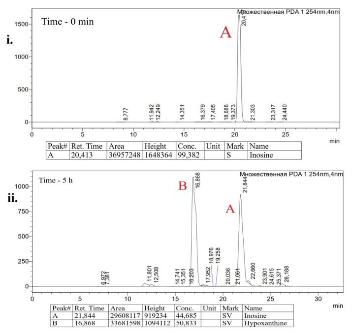 Cloning and expression of recombinant purine nucleoside phosphorylase in the methylotrophic yeast <span>Pichia pastoris</span>