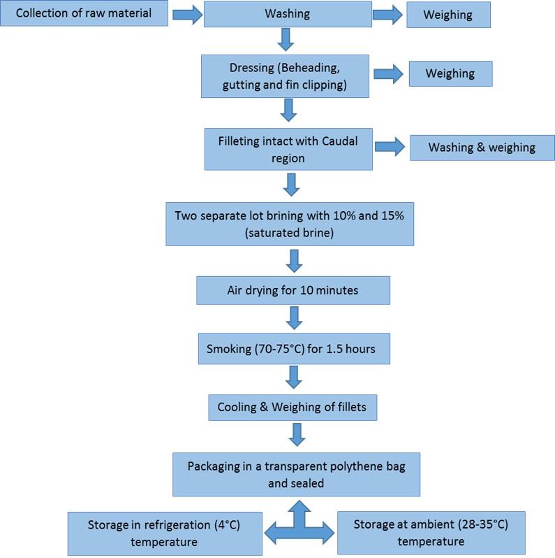 Assessment of quality and shelf-life of salt-smoked cured products from Pangasius catfish at various temperatures