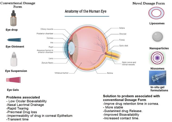 Proniosomes: A provesicular system in ocular drug delivery