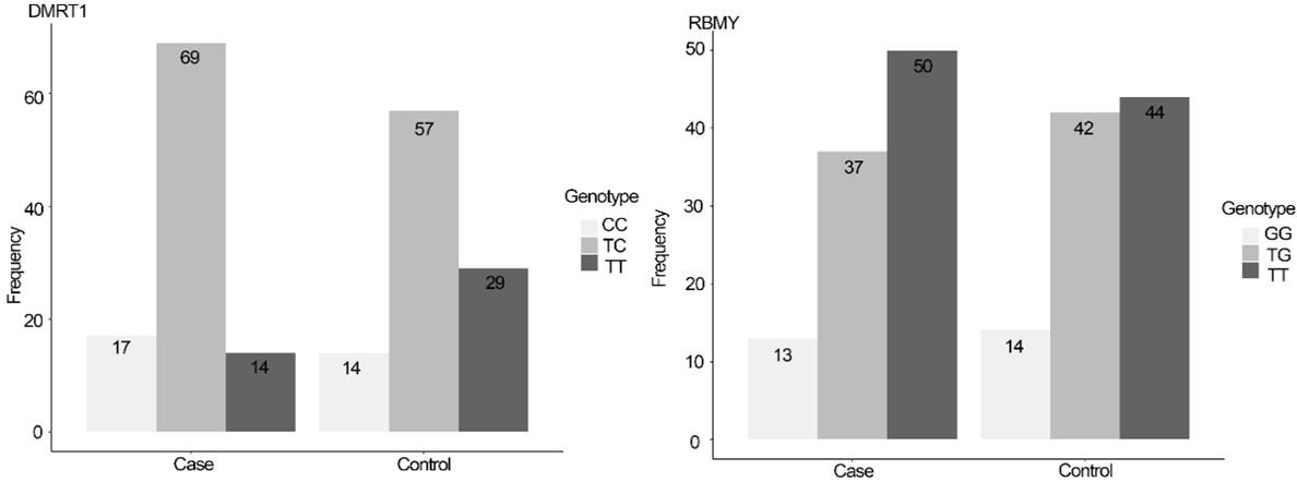 DMRT1, RBMY, and AZFb genes polymorphism and expression role in azoospermia susceptibility