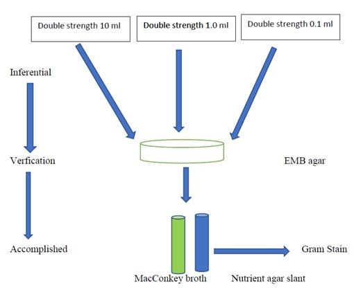 Aspergillus niger grows faster than Escherichia coli in eosin methylene blue media and deter their growth by reducing the pH of the media