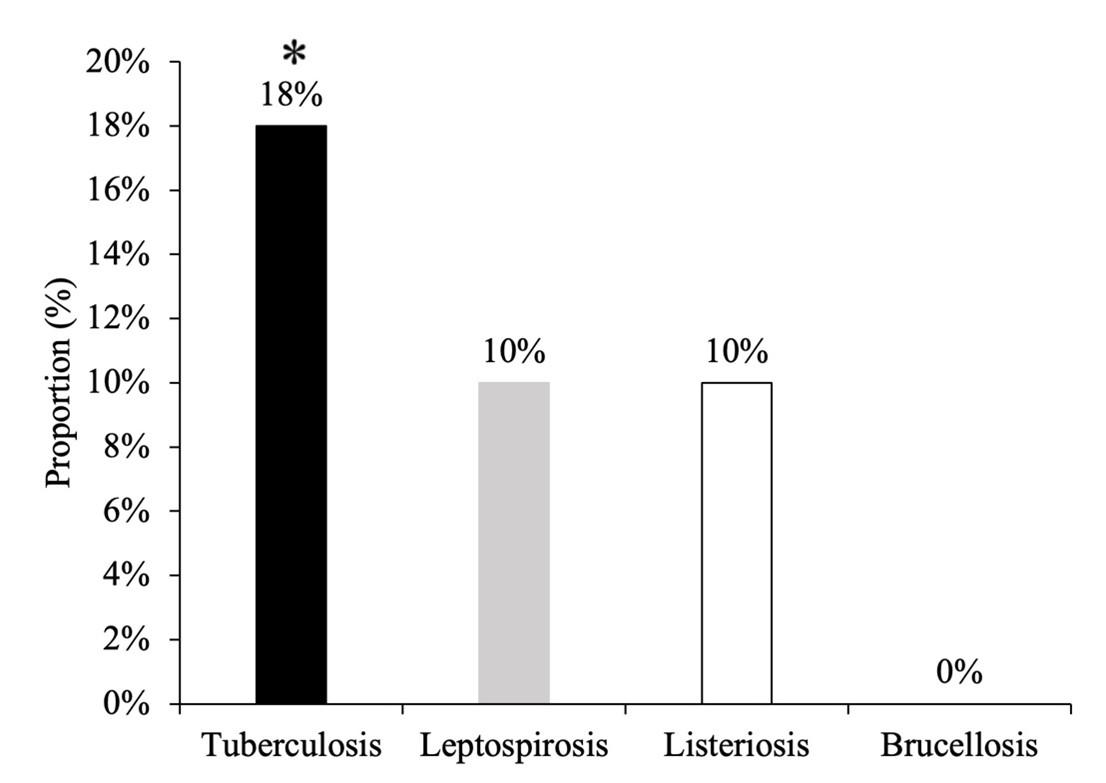 Pathological investigation and molecular detection of bacterial zoonotic diseases of slaughtered cattle in Bangladesh