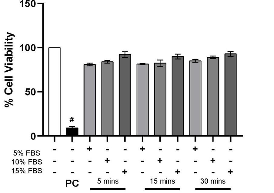 Effect of growth factors present in serum on insulin resistance and endothelial dysfunction in EA.hy926 cells