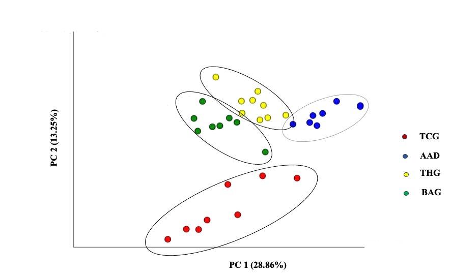 Beneficial effects of the multi-strain probiotic preparation BaciMix on antibiotic-associated diarrhea in rats