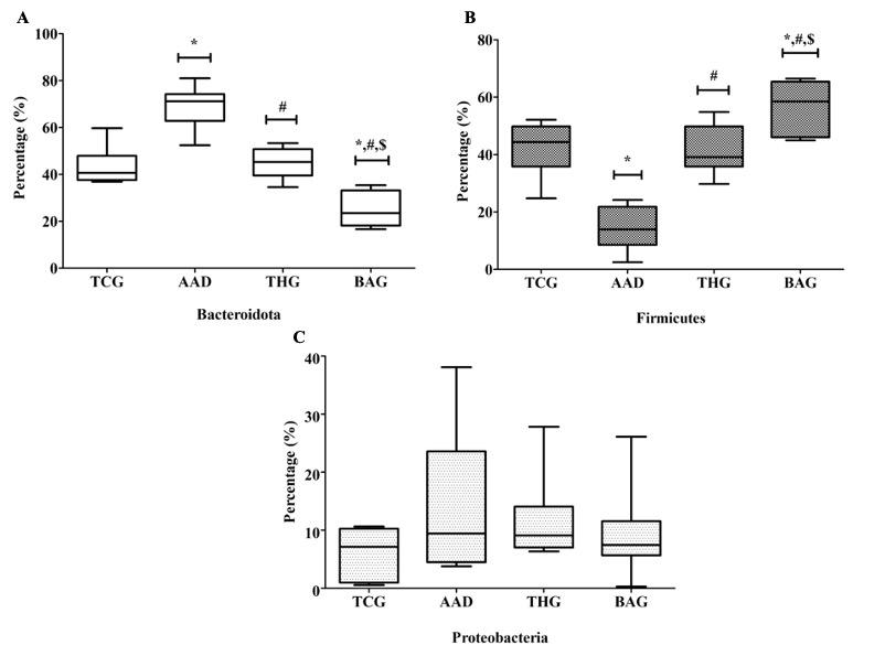 Beneficial effects of the multi-strain probiotic preparation BaciMix on antibiotic-associated diarrhea in rats