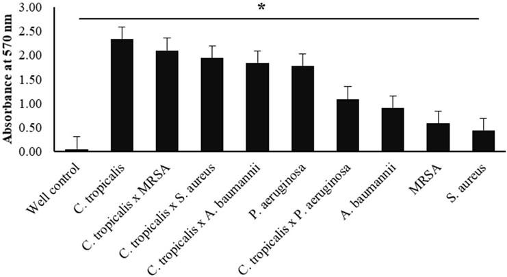 Biofilm formation by the interaction of fungi (<span>Candida tropicalis</span>) with various bacteria