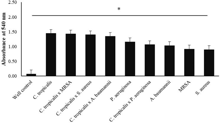 Biofilm formation by the interaction of fungi (<span>Candida tropicalis</span>) with various bacteria