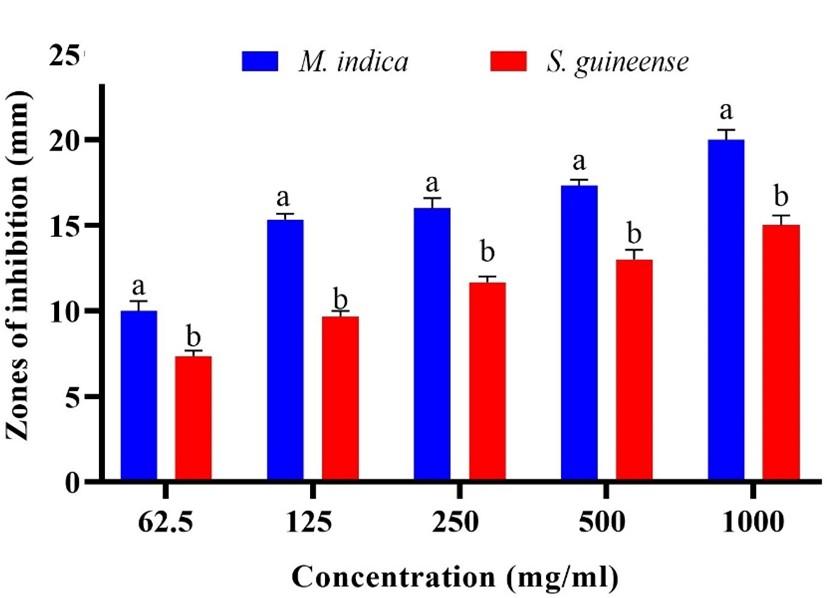 Antibacterial and phytochemical effects of ethanol extracts of Syzygium guineense (Willd.) DC barks and Mangifera indica L seeds