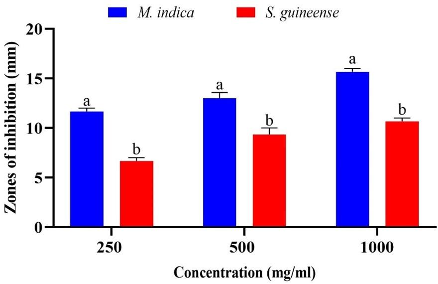 Antibacterial and phytochemical effects of ethanol extracts of Syzygium guineense (Willd.) DC barks and Mangifera indica L seeds