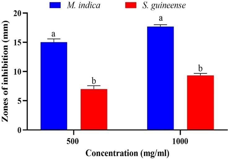 Antibacterial and phytochemical effects of ethanol extracts of Syzygium guineense (Willd.) DC barks and Mangifera indica L seeds