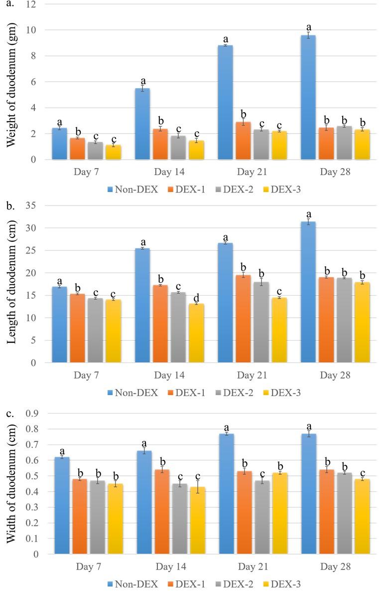 Effects of dexamethasone induced stress on the intestinal morphology and morphometry in broiler chicken