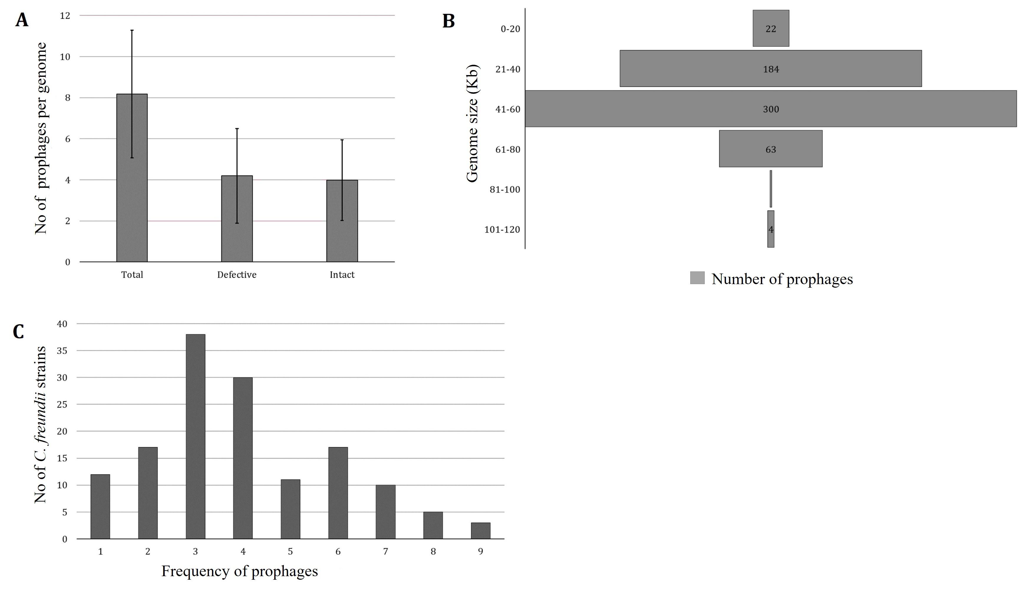 Genomic identification and characterization of prophages associated with <span>Citrobacter freundii</span> strains