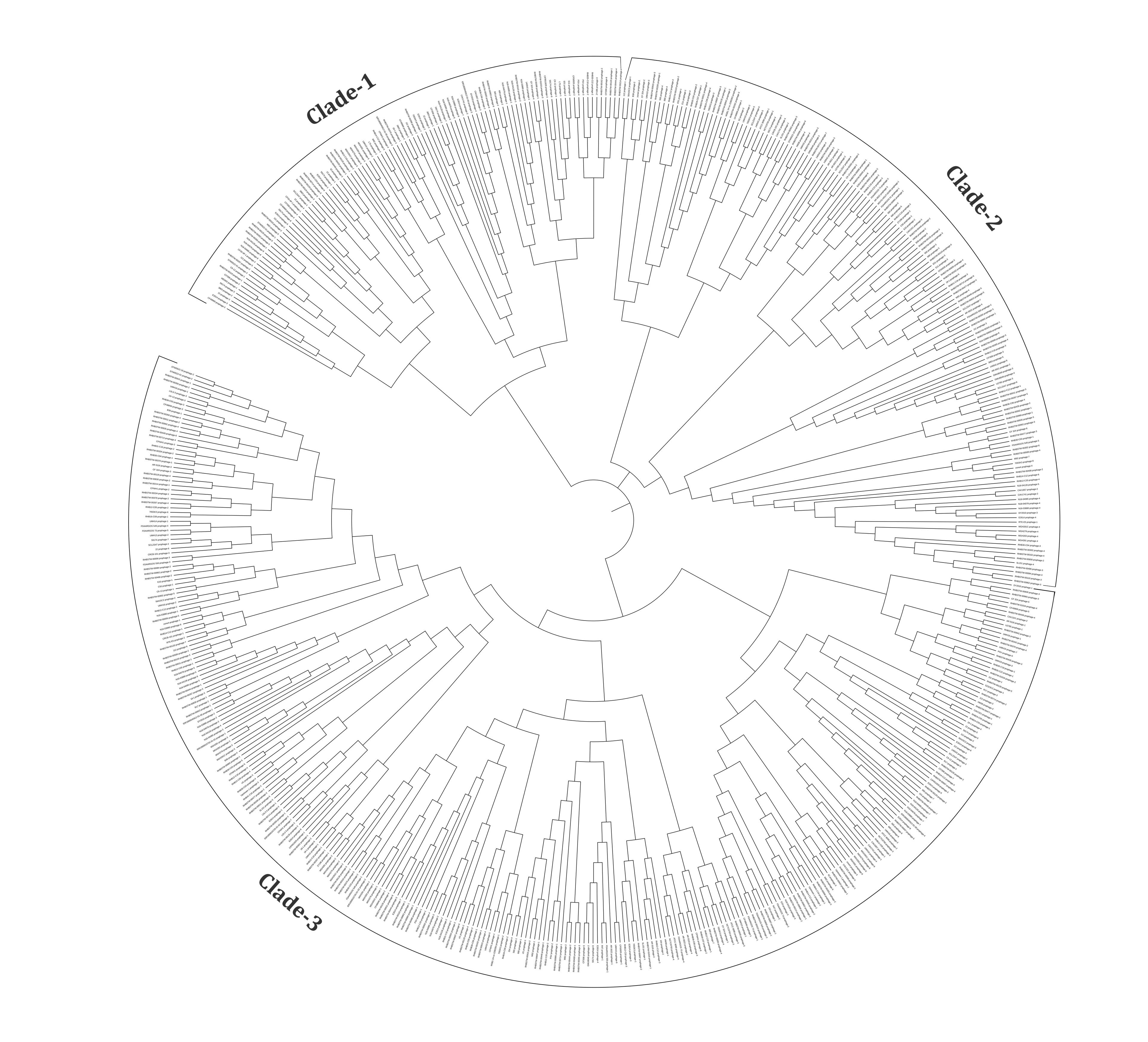 Genomic identification and characterization of prophages associated with <span>Citrobacter freundii</span> strains