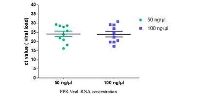 Validation and standardization of designed N gene primer-based RT-PCR protocol for detecting Peste des Petits Ruminants virus in goats