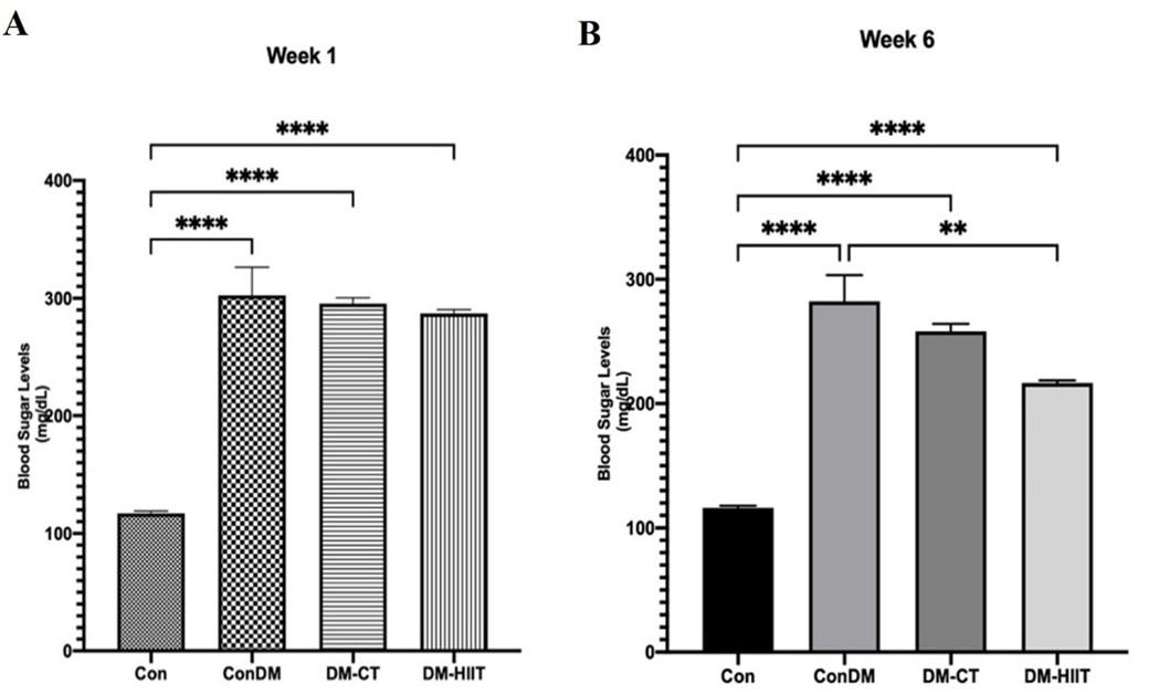 High-intensity interval training increases AMPK and GLUT4 expressions via FGF21 in skeletal muscles of diabetic rats