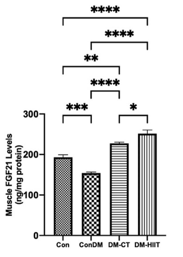 High-intensity interval training increases AMPK and GLUT4 expressions via FGF21 in skeletal muscles of diabetic rats