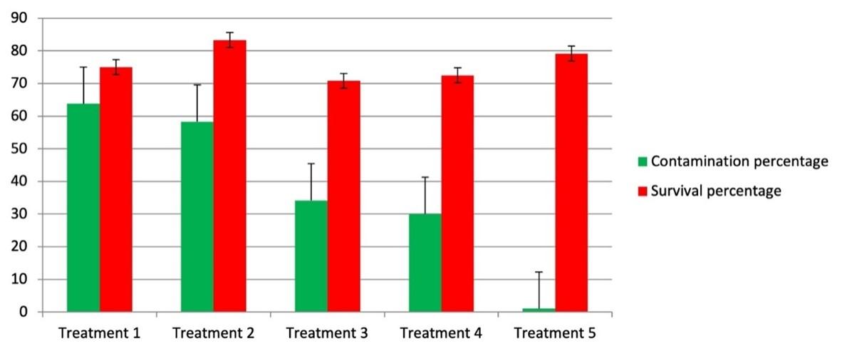 Optimization of surface sterilization method for the isolation of endophytic fungi associated with Curcuma longa L. and their antibacterial activity