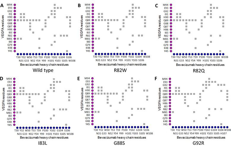 Interaction of epitopic missense variants of VEGFA with therapeutic monoclonal antibodies