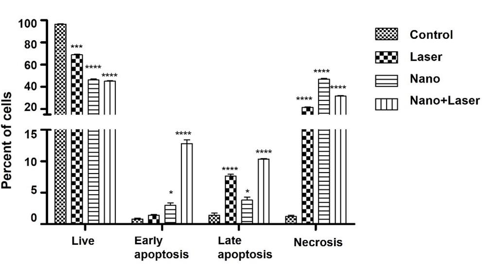 Cytotoxic effect of zinc oxide nanoparticle and diode laser combination in colorectal cancer in vitro via induction of cell cycle arrest and apoptosis