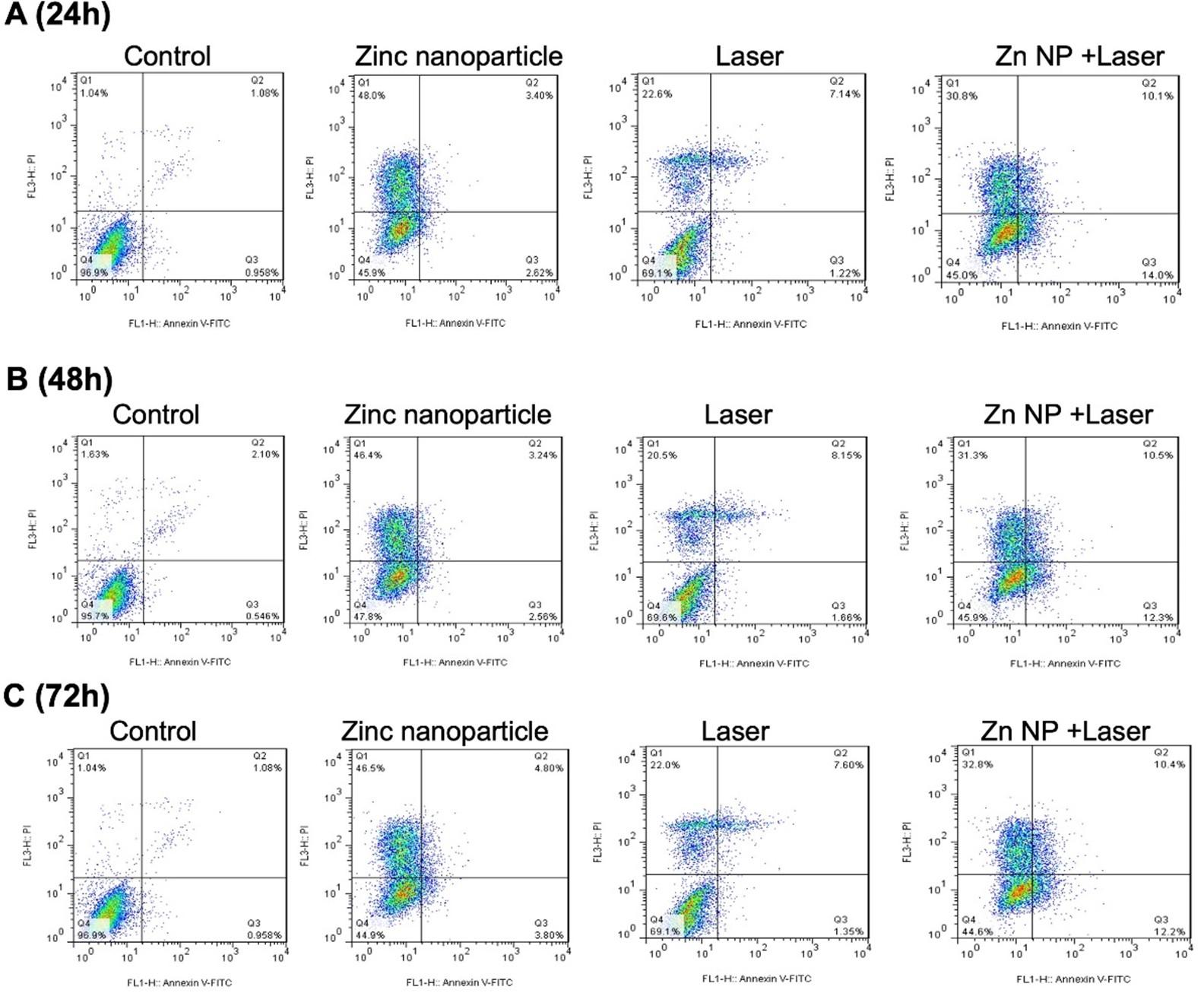 Cytotoxic effect of zinc oxide nanoparticle and diode laser combination in colorectal cancer in vitro via induction of cell cycle arrest and apoptosis