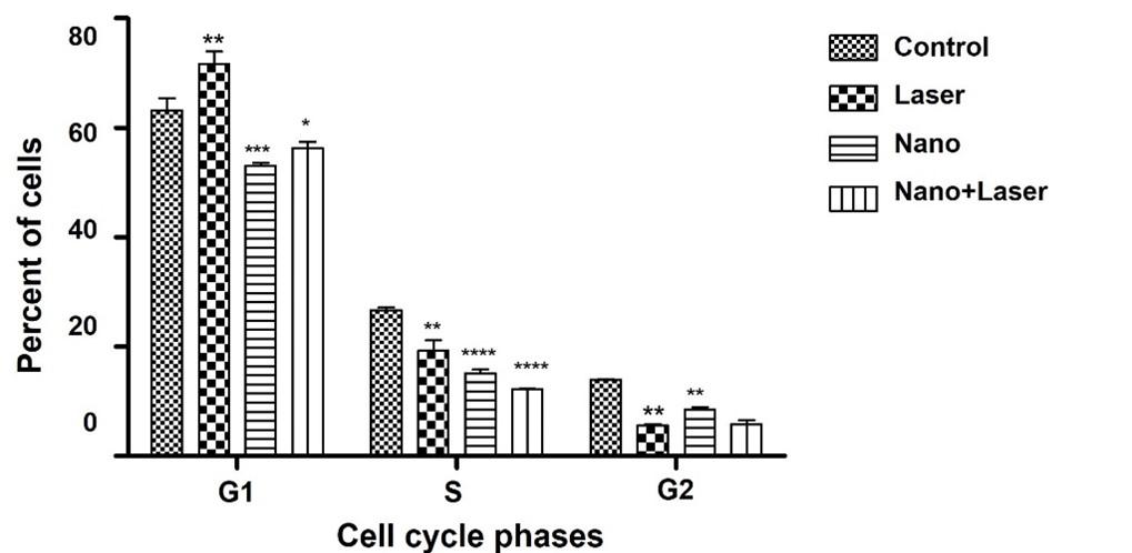 Cytotoxic effect of zinc oxide nanoparticle and diode laser combination in colorectal cancer in vitro via induction of cell cycle arrest and apoptosis